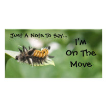 Just A Note To Say..., I'mOn The Move... photo cards by tyounglyle Just A Note To Say..., I'mOn The Move... photo cards