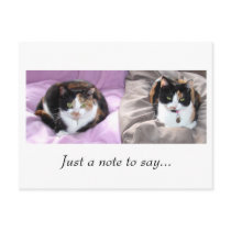 Just a note to say... postcards by jennyclaire_art Just a note to say... postcards