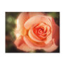 Just a rose postcards