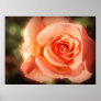 Just a rose print