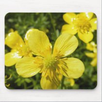 Just a Weed mousepads