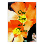 "Just a Weed" ODAT cards