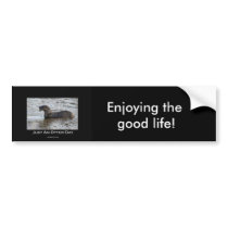 Just an Otter Day Gifts bumper stickers by HANDPRINTS Just an Otter Day Gifts bumper stickers
