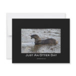 Just an Otter Day Gifts Announcement