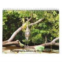 Just Another Day on Pelahatchie Bay Wall Calendars