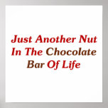 Just Another Nut In The Chocolate Bar Of Life posters