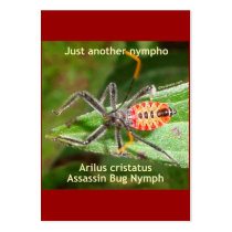 Just Another Nympho Business Cards