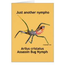 Just Another Nympho Card