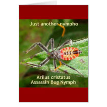 Just Another Nympho Greeting Cards