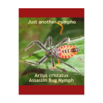 Just Another Nympho Post Card