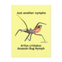 Just Another Nympho Postcards