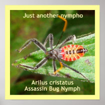 Just Another Nympho Poster