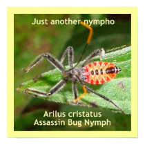 Just Another Nympho Poster