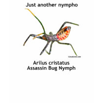 Just Another Nympho Shirt