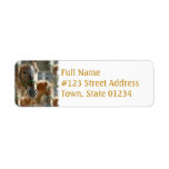 Just Appaloosa Return Address Label