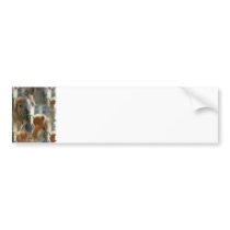 Just Appaloosas Bumper Sticker