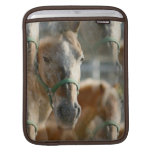 Just Appaloosas iPad Sleeve