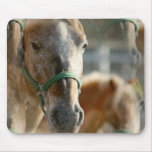 Just Appaloosas Mouse Pad