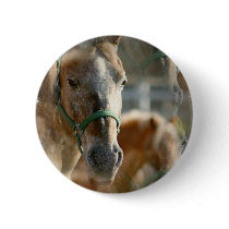 Just Appaloosas Round Button