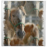 Just Appaloosas Set of Four Napkins