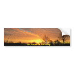 . . . Just Arrived Or Just Going? Bumper Sticker