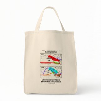Just Be Prepared For Wacky Weather bag