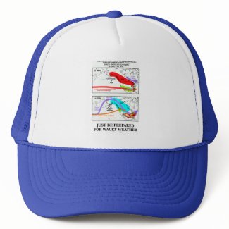 Just Be Prepared For Wacky Weather hat
