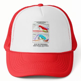 Just Be Prepared For Wacky Weather hat
