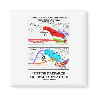Just Be Prepared For Wacky Weather magnet