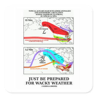 Just Be Prepared For Wacky Weather sticker