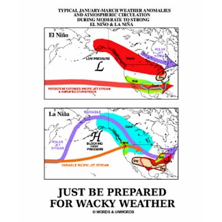 Just Be Prepared For Wacky Weather shirt