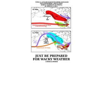 Just Be Prepared For Wacky Weather shirt