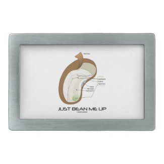 Just Bean Me Up (Bean Diagram) Rectangular Belt Buckles