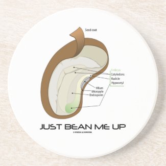 Just Bean Me Up (Bean Diagram) Beverage Coaster