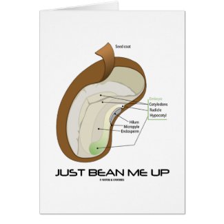 Just Bean Me Up (Bean Diagram) Cards