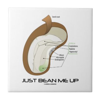 Just Bean Me Up (Bean Diagram) Ceramic Tile