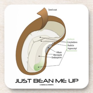 Just Bean Me Up (Bean Diagram) Drink Coasters