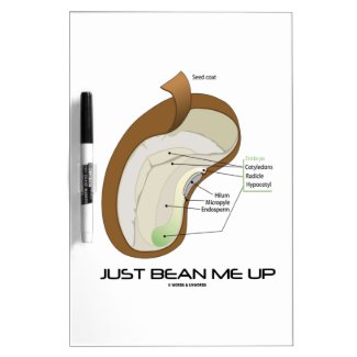 Just Bean Me Up (Bean Diagram) Dry Erase Whiteboards