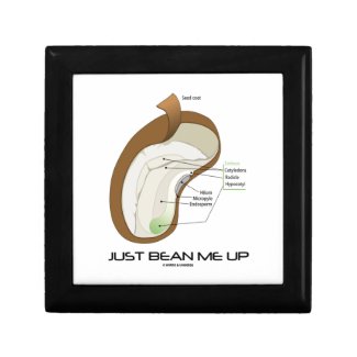 Just Bean Me Up (Bean Diagram) Gift Boxes