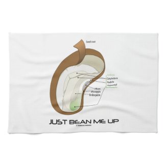 Just Bean Me Up (Bean Diagram) Kitchen Towel