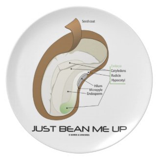 Just Bean Me Up (Bean Diagram) Plates