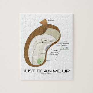 Just Bean Me Up (Bean Diagram) Puzzles