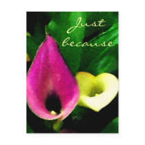 Just because/ Any Occasions_Postcard