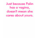 Just because Palin has a vagina, doesn't mean s... t-shirts