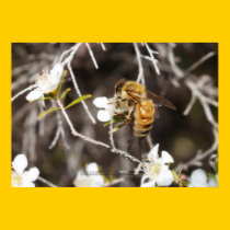 'Just Bee Yourself' posters