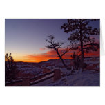 Just Before Sunrise At Bryce Canyon National Park Cards