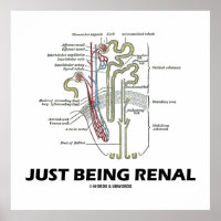 Just Being Renal (Kidney Nephron Renal Humor) Poster