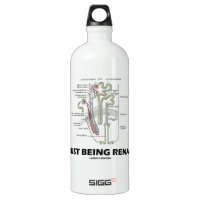 Just Being Renal (Kidney Nephron Renal Humor) SIGG Traveler 1.0L Water Bottle