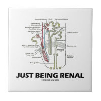 Just Being Renal (Kidney Nephron Renal Humor) Small Square Tile