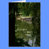Just Beyond the Willow Tree cards